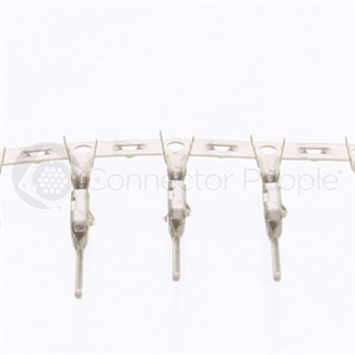 サマーセール ミニグランド バンドル 15491296 People Connector The - NTI - テント・タープ