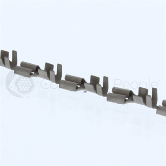 large image
