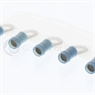 small image