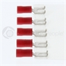 small image