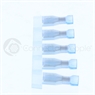 small image