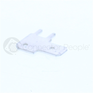 large image