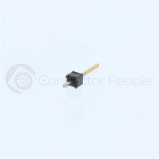 large image