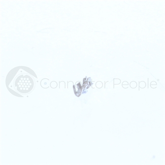 large image