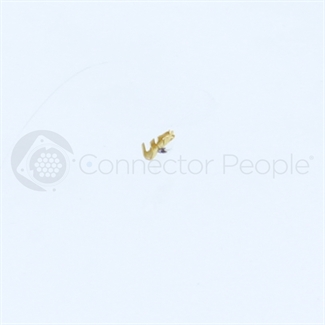 large image